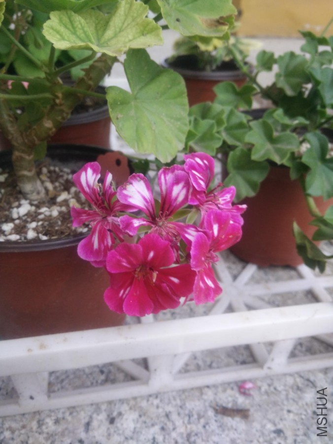 ��ɫ������ ��ɫ������ʧ��