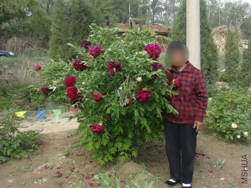 �ϰ�ĵ��1 ����.jpg