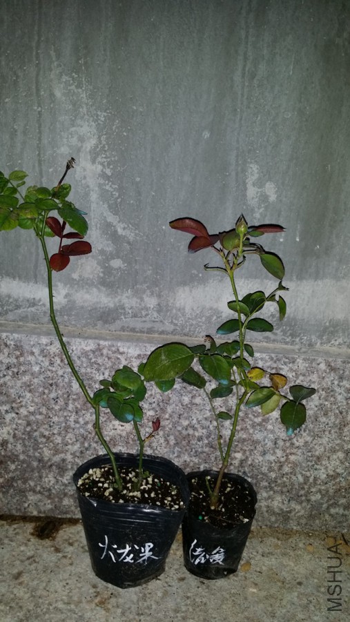 20150831_194708.jpg