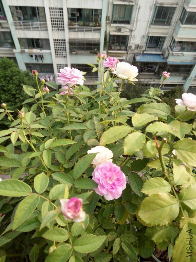 QQͼƬ20150901084706.jpg