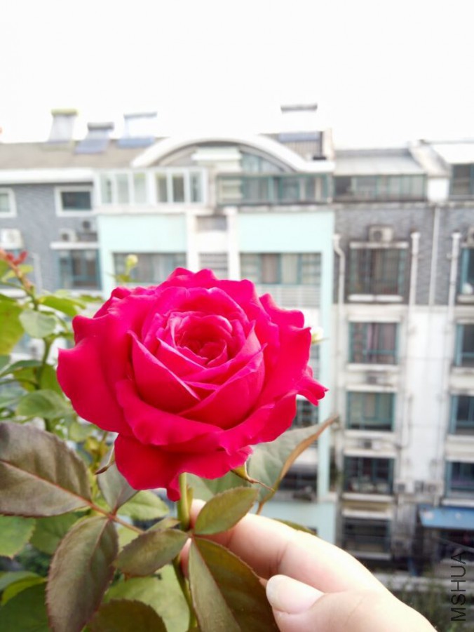 QQͼƬ20150901084713.jpg