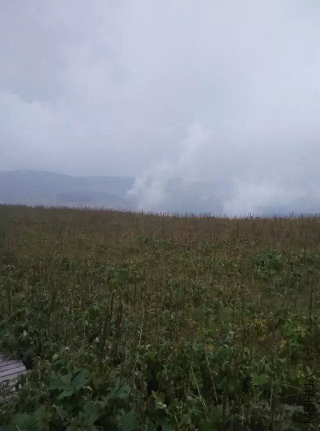˴��ƺ11.jpg