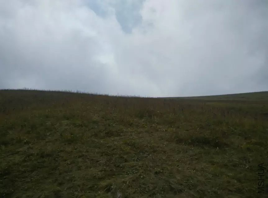 ˴��ƺ14.jpg