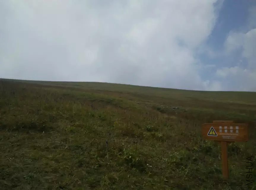 ˴��ƺ15.jpg
