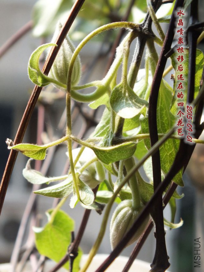 2015.9.1 027_����_����.jpg