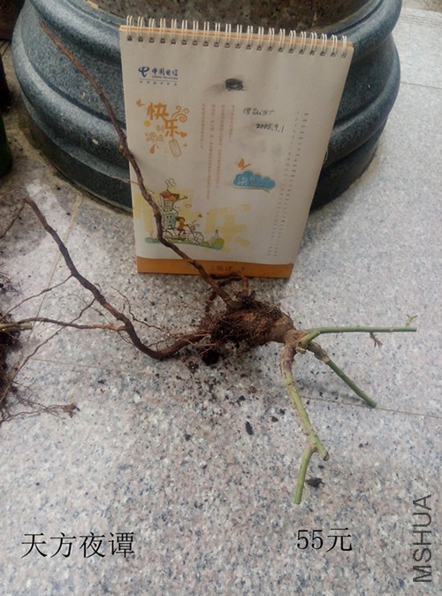 �췽ҹ̷.jpg