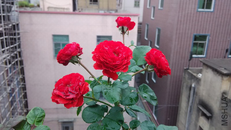IMG_20141112_101009_����.jpg
