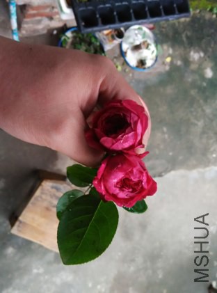 С�������