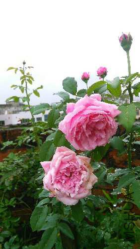 IMG_20150902_103003.jpg