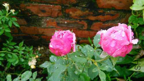 IMG_20150902_103113.jpg