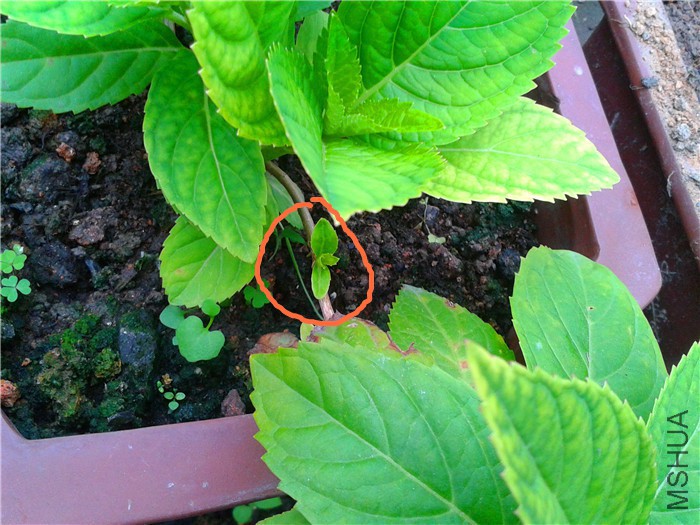 2015-09-02 07.10.47_����.jpg