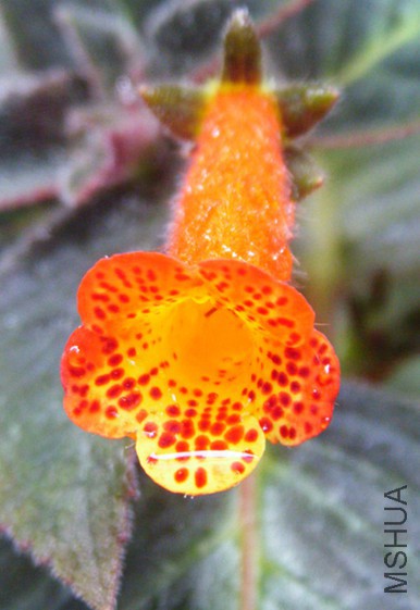 DSCF1533_����.jpg