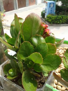 QQͼƬ20150902151742.jpg