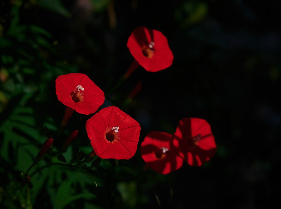 20150903_151731_005.jpg