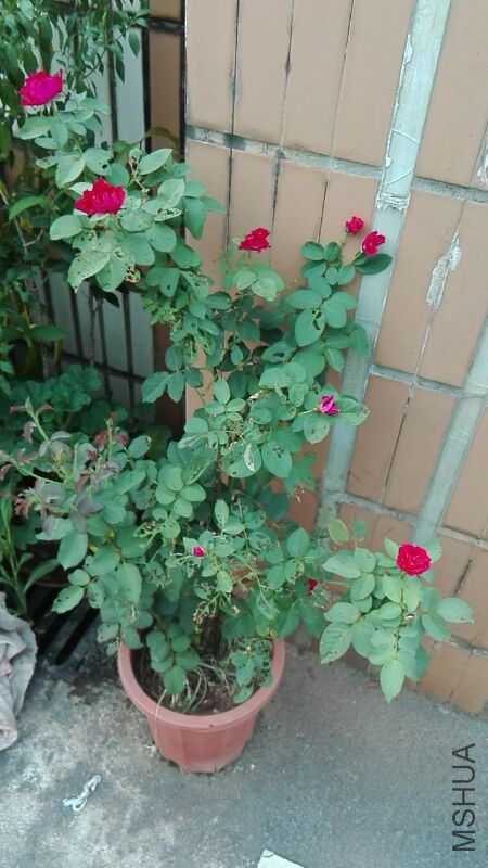 UC_Photo_003.jpg