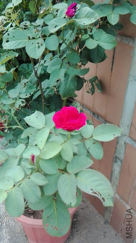 UC_Photo_004.jpg