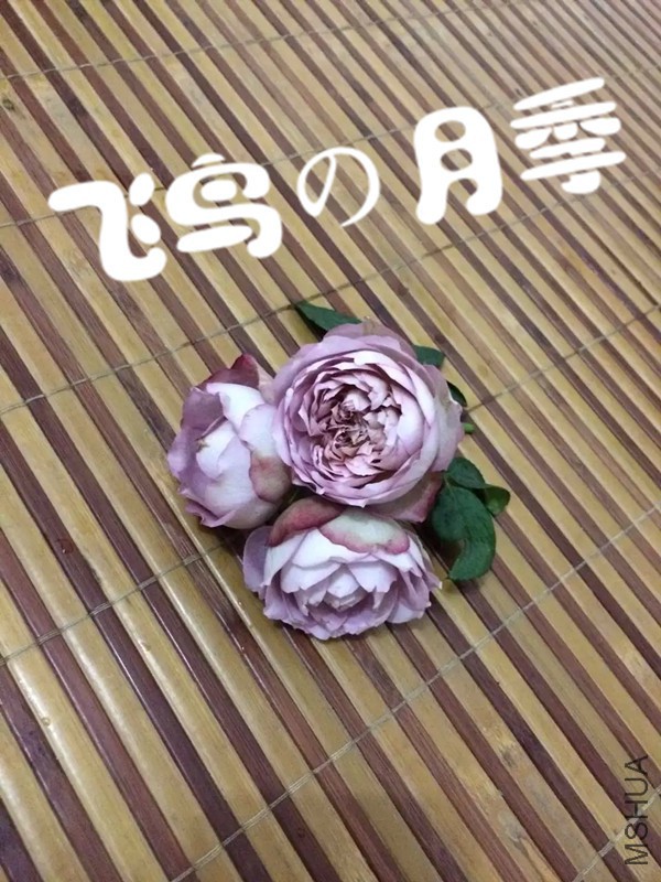 psb��.jpg