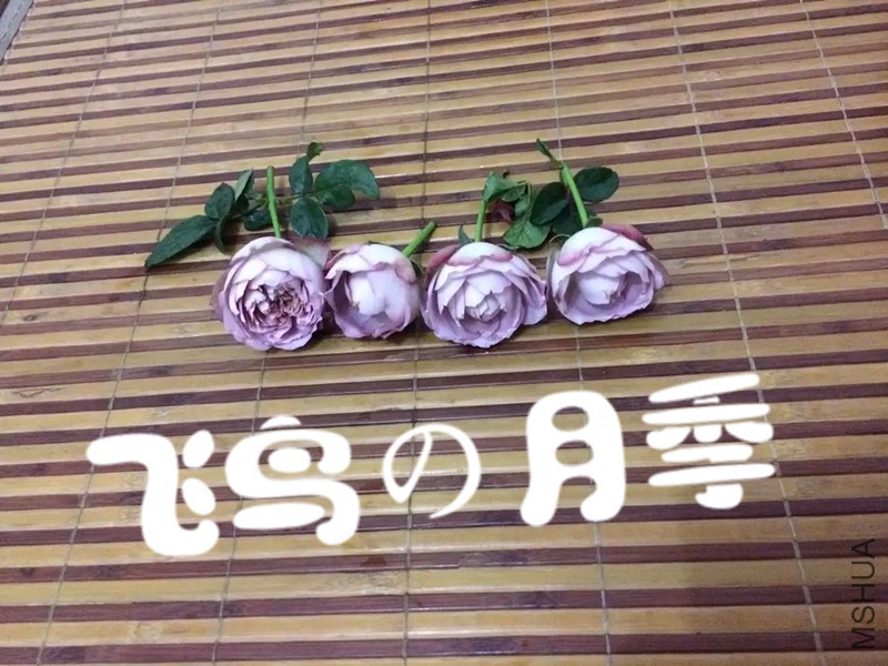 psb (52).jpg