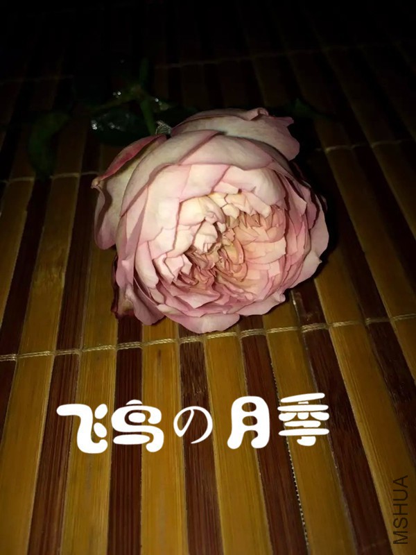 psb (54).jpg