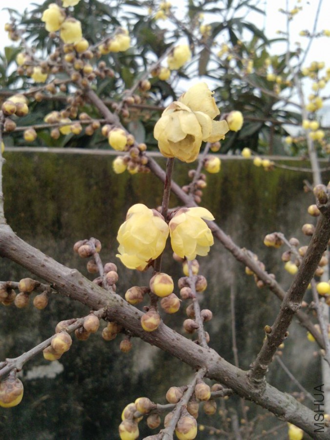 P1418[01]_12-01-12.jpg