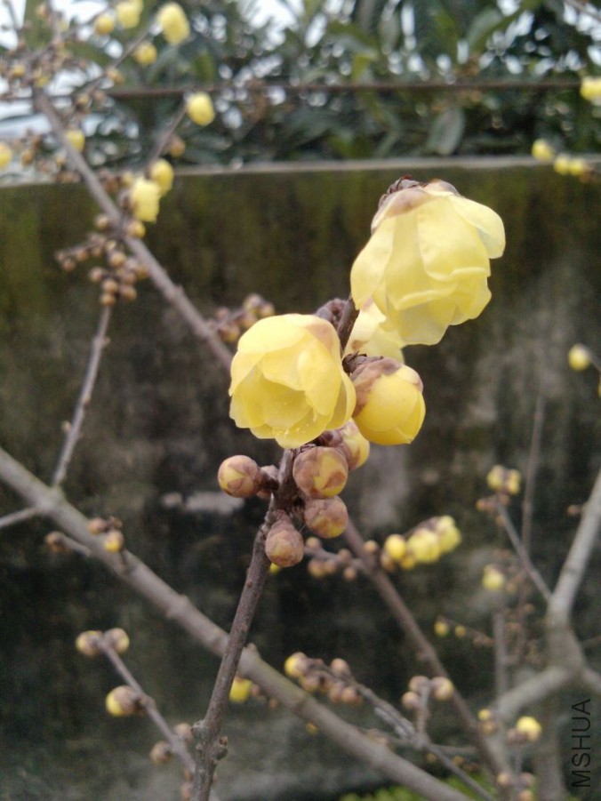 P1418_12-01-12.jpg