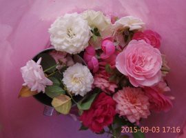 psb (11).jpg