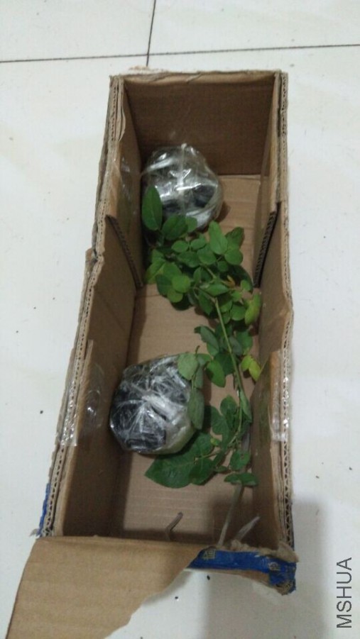QQͼƬ20150904215754.jpg