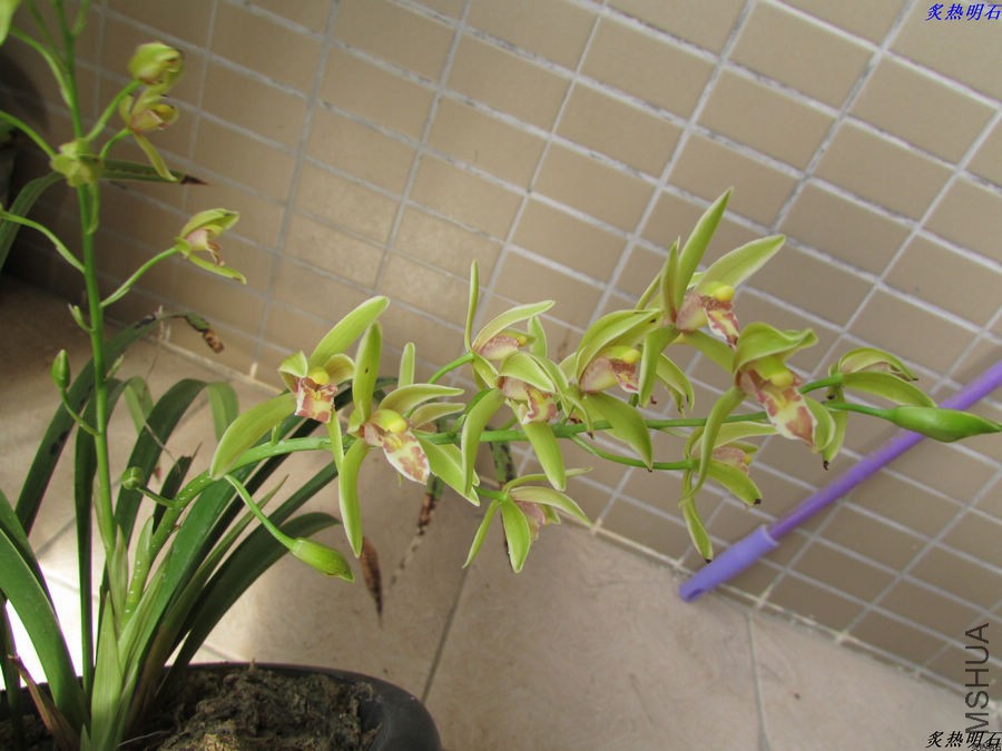 IMG_9448_nEO_IMG.jpg