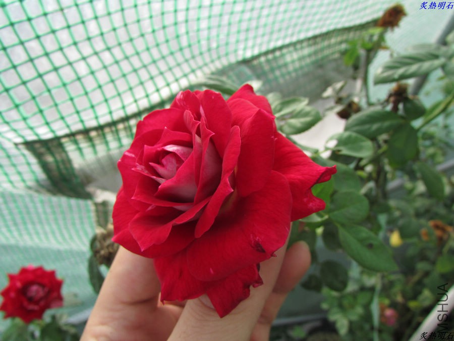 IMG_9541_nEO_IMG.jpg