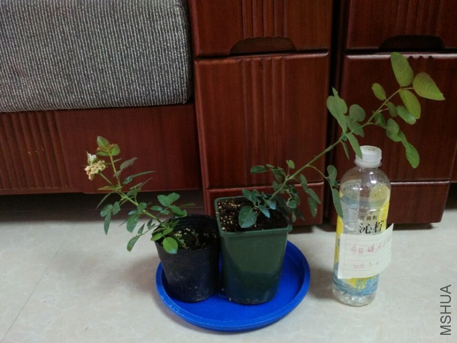 ��5�� ��ܽ������������ 