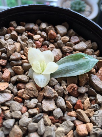 2015��̨����IMG_3651.JPG