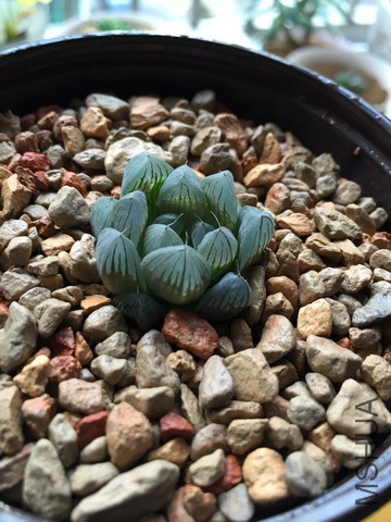 2015��̨����IMG_3654.JPG