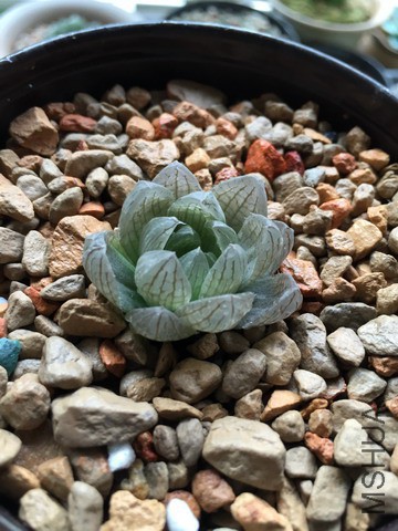 2015��̨����IMG_3653.JPG