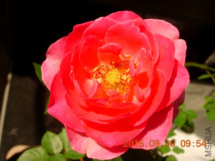 DSCN1023_resize.JPG