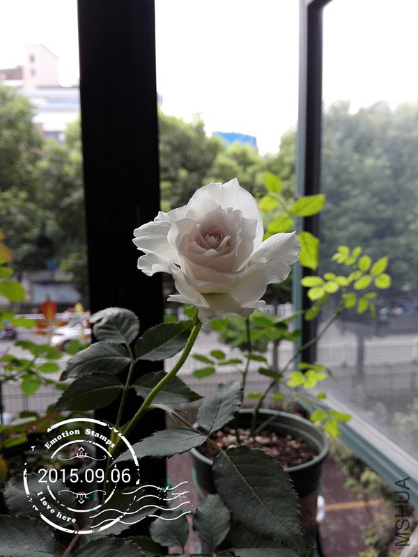 IMG_20150906_073346_����.jpg