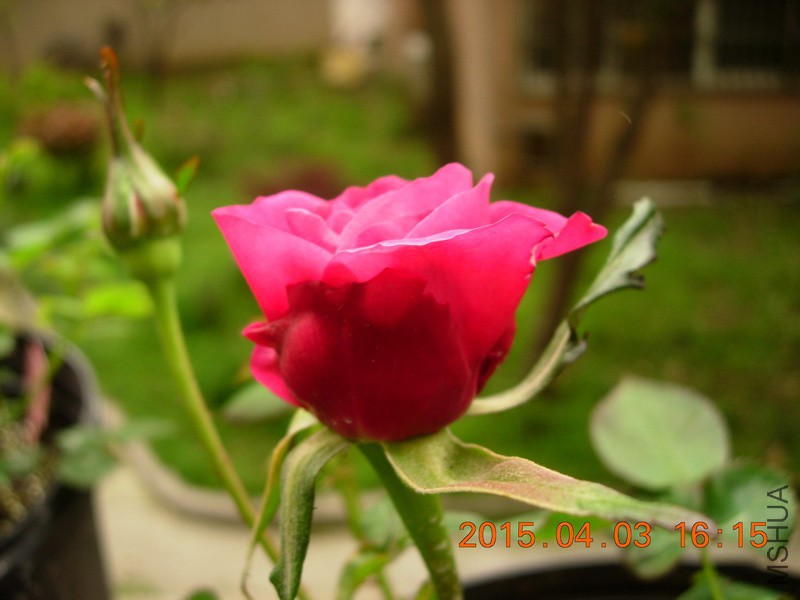 DSCN0072_resize.JPG