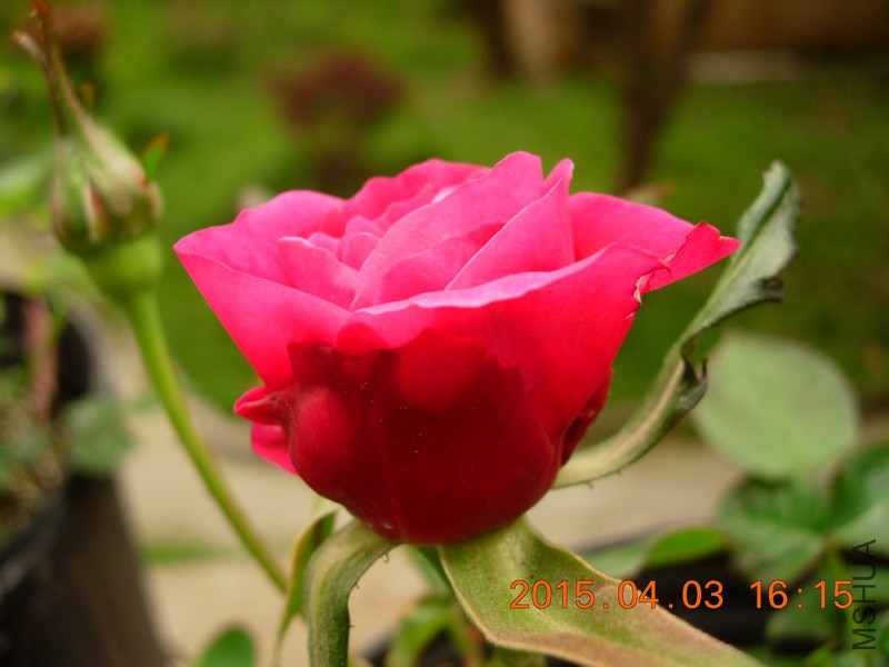 DSCN0074_resize.JPG