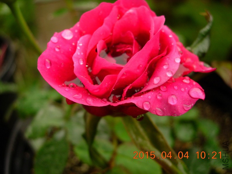 DSCN0216_resize.JPG