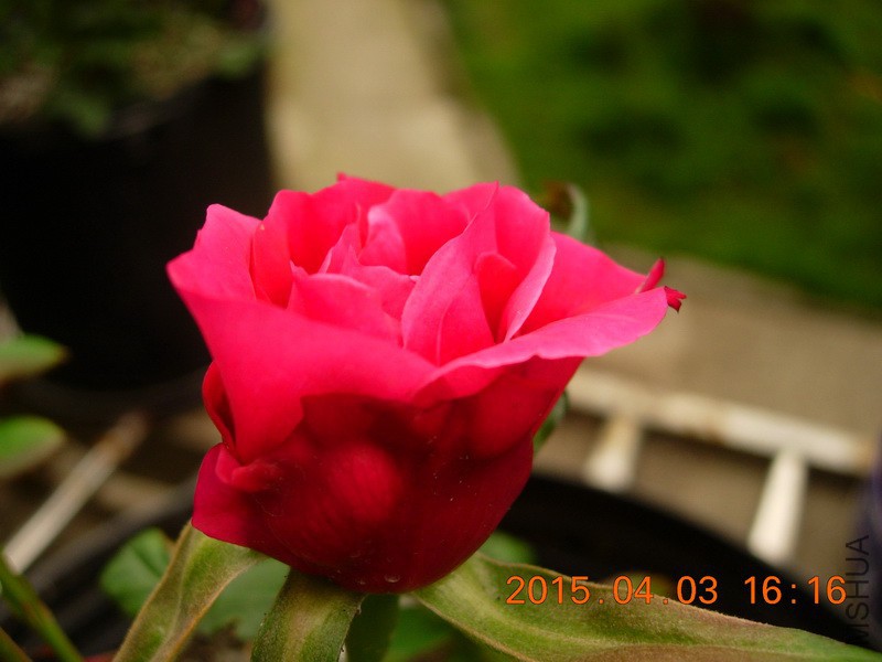 DSCN0081_resize.JPG