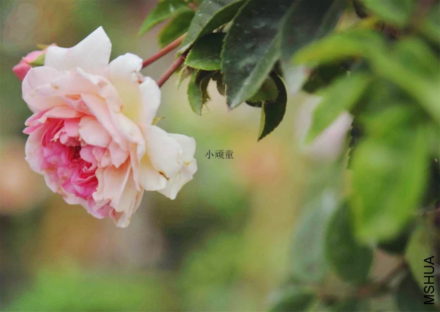 092817p9cspcdbi9yyb4ic.jpg