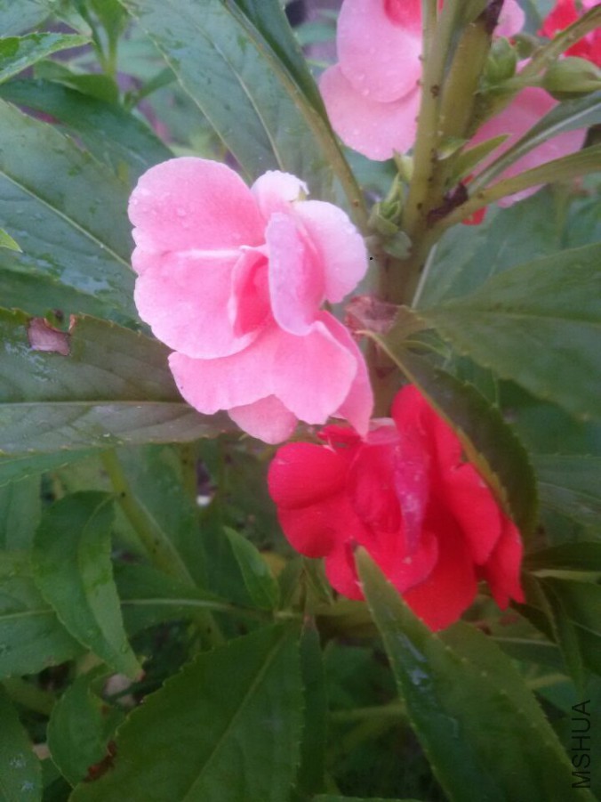 QQͼƬ20150725111208.jpg
