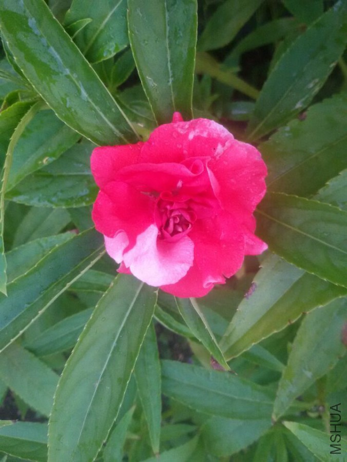 QQͼƬ20150725111106.jpg