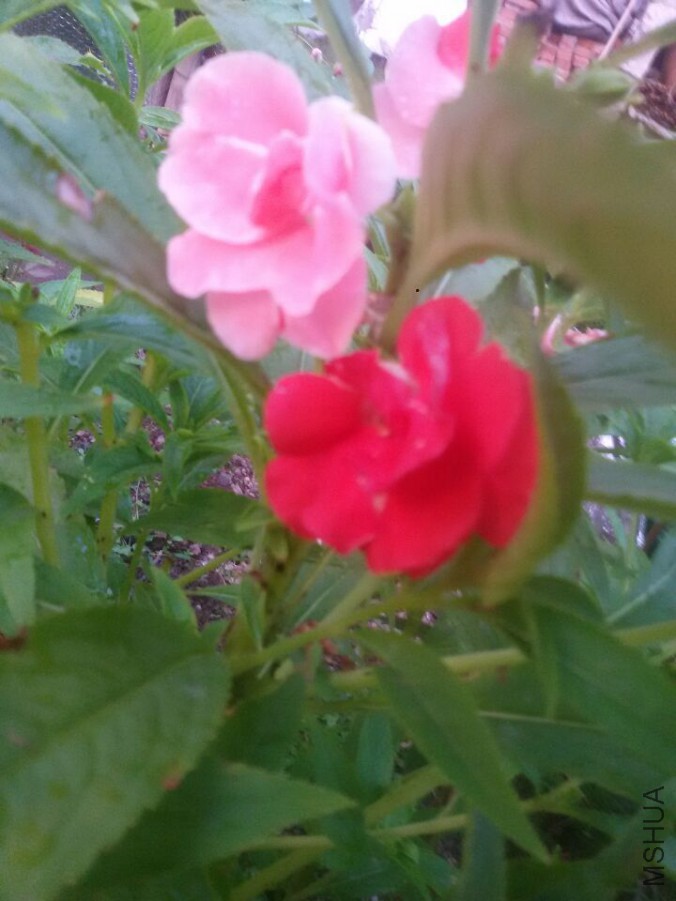 QQͼƬ20150725111159.jpg
