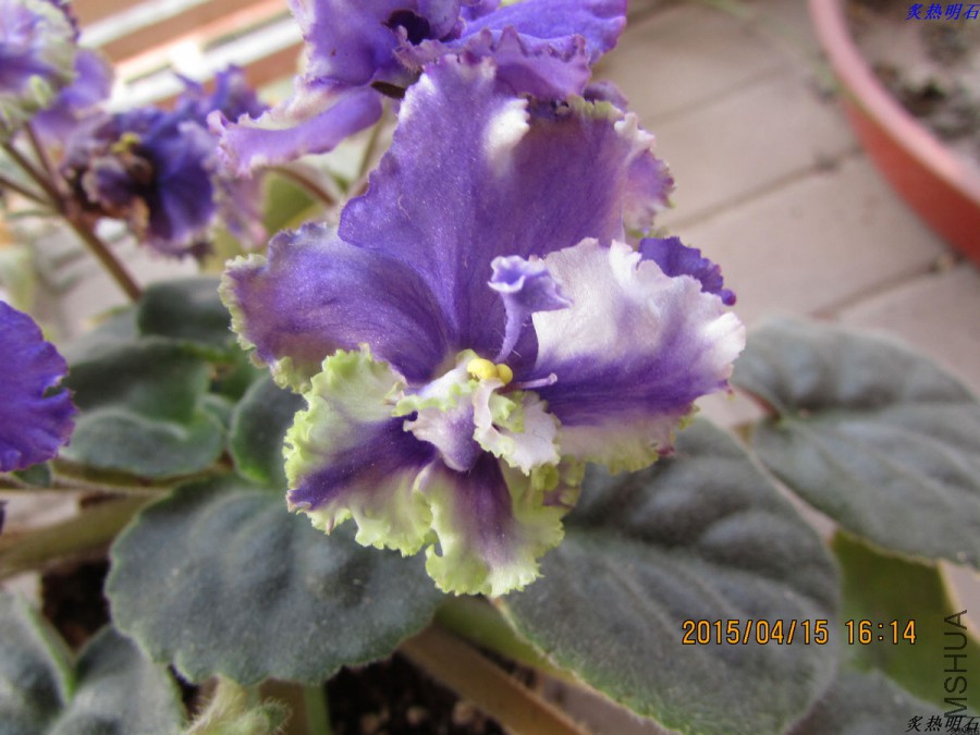 IMG_3560_nEO_IMG.jpg