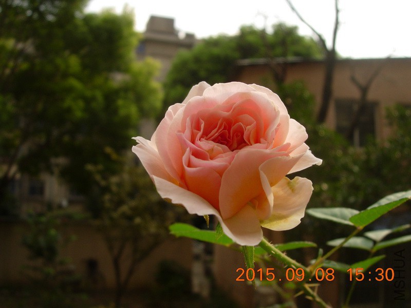 DSCN1473_resize.JPG