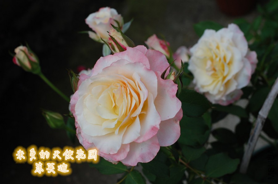 2015.01.jpg