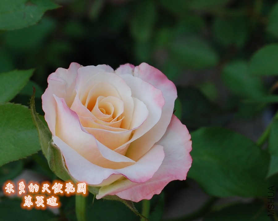 2015.2.jpg