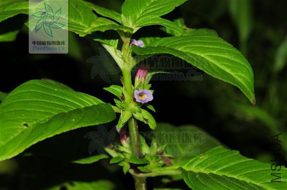 6d5a140828381f30a1e4729baa014c086f06f0fd.jpg
