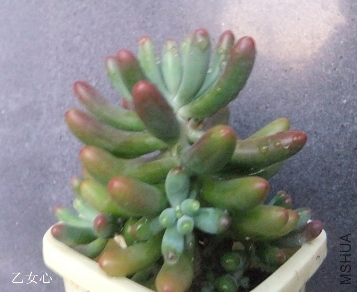 DSCF4361_����.jpg
