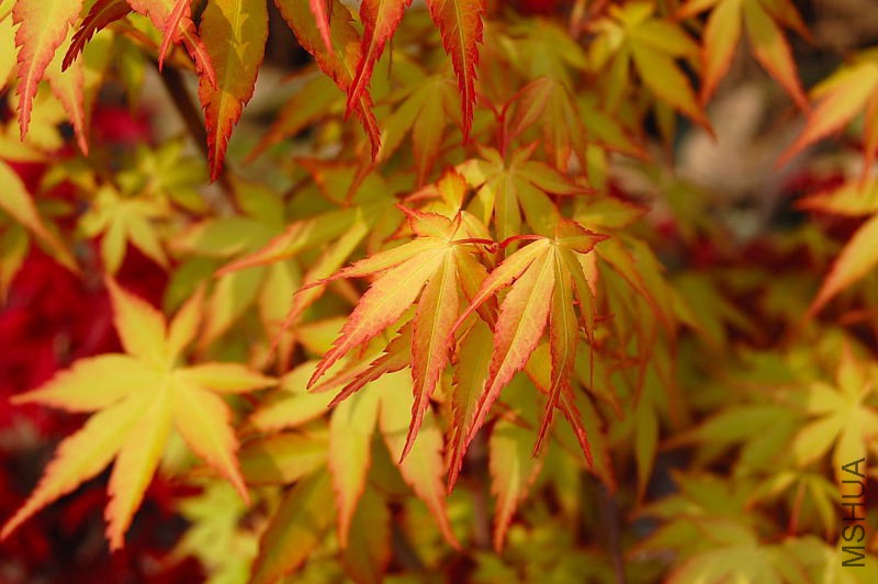 DSC_04120412.JPG